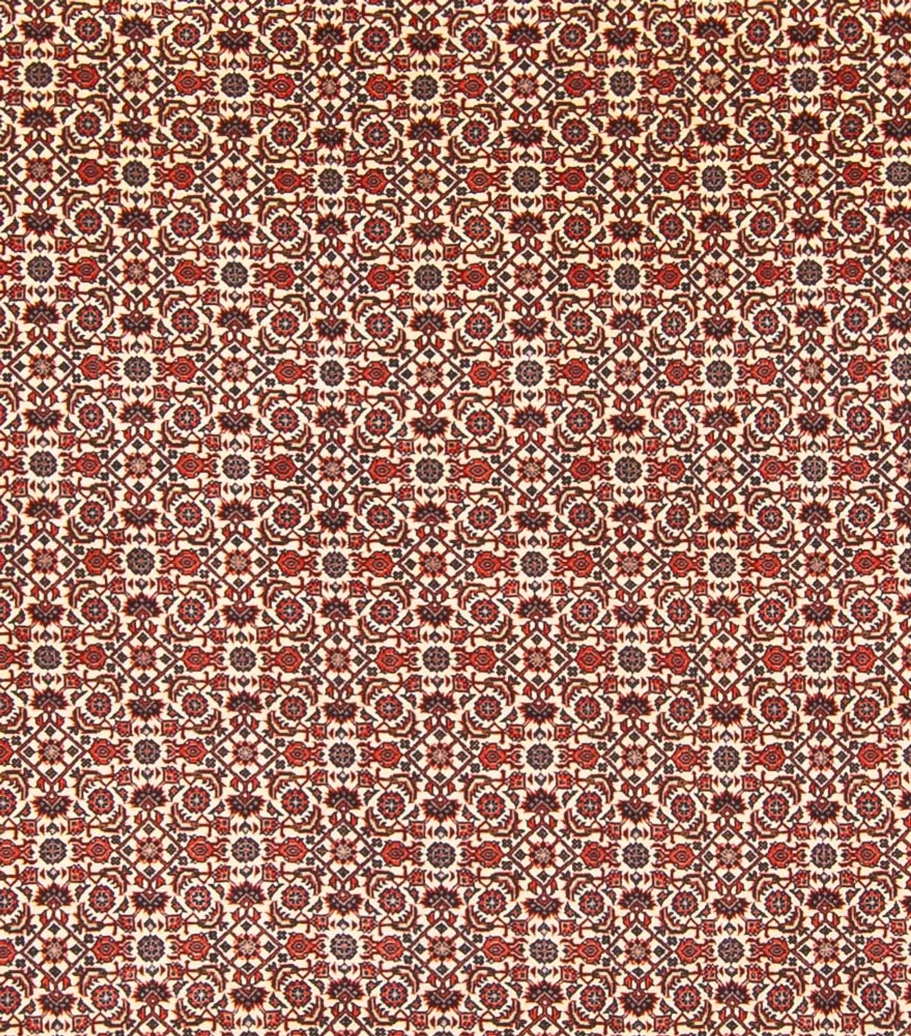 Alfombra persa - Bidjar - 343 x 260 cm - crema