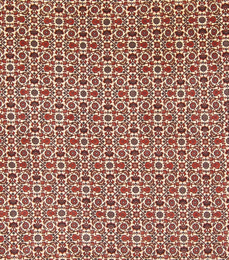 Alfombra persa - Bidjar - 343 x 260 cm - crema