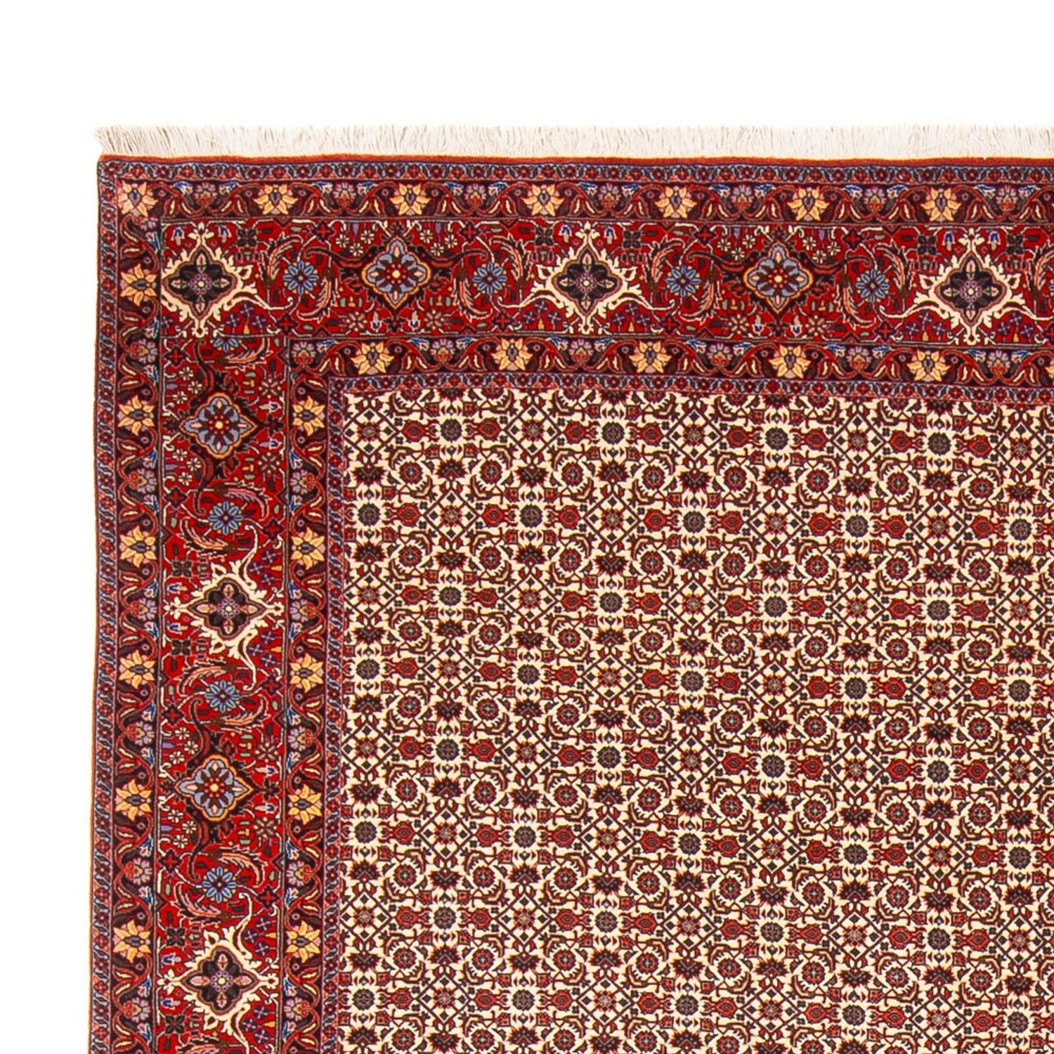 Alfombra persa - Bidjar - 343 x 260 cm - crema