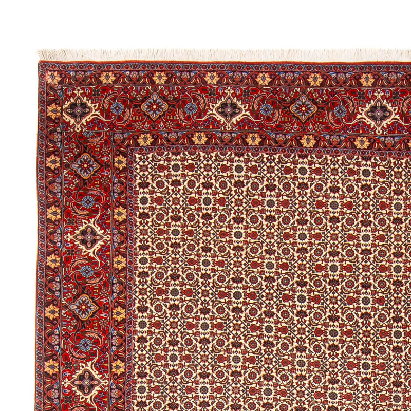 Alfombra persa - Bidjar - 343 x 260 cm - crema