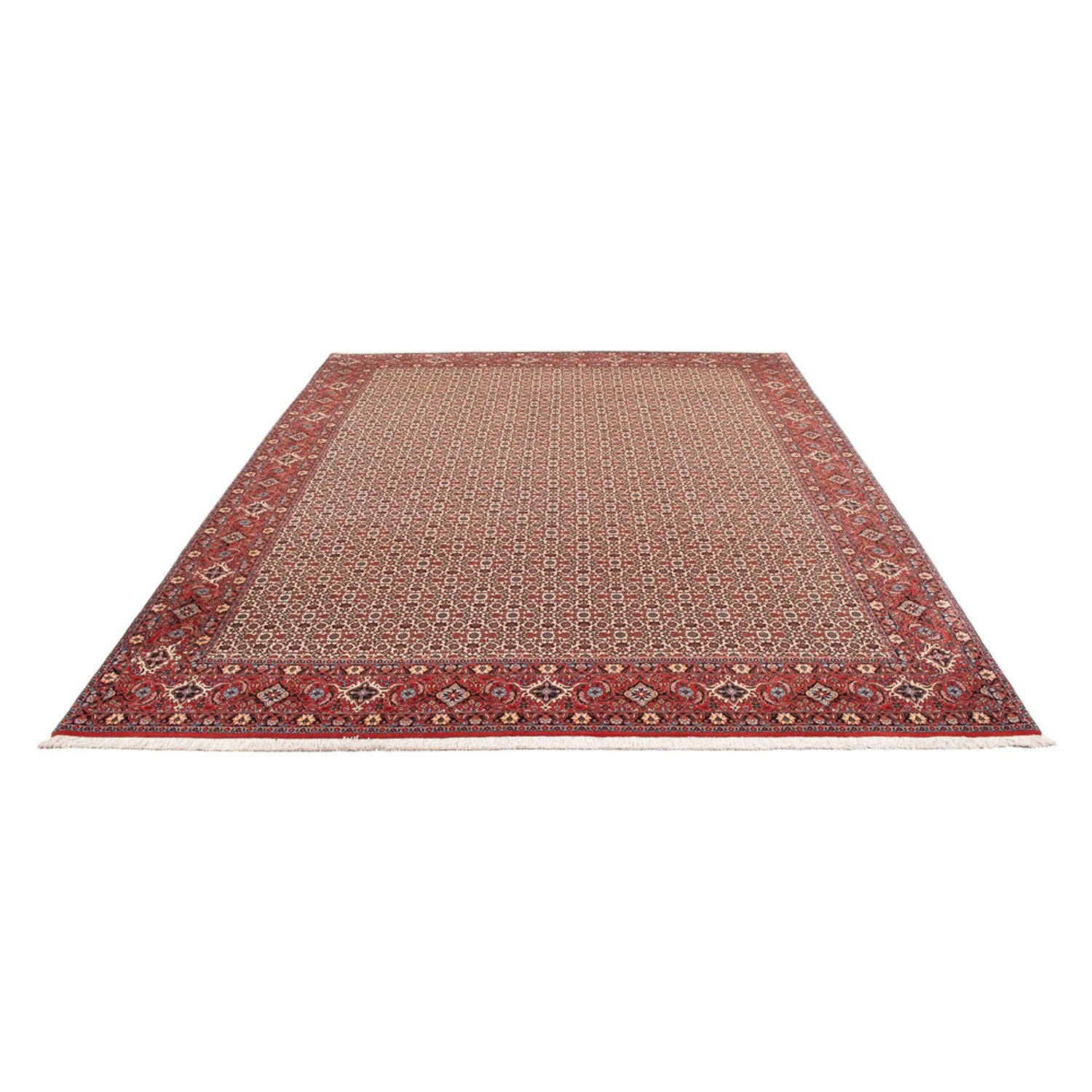 Alfombra persa - Bidjar - 343 x 260 cm - crema
