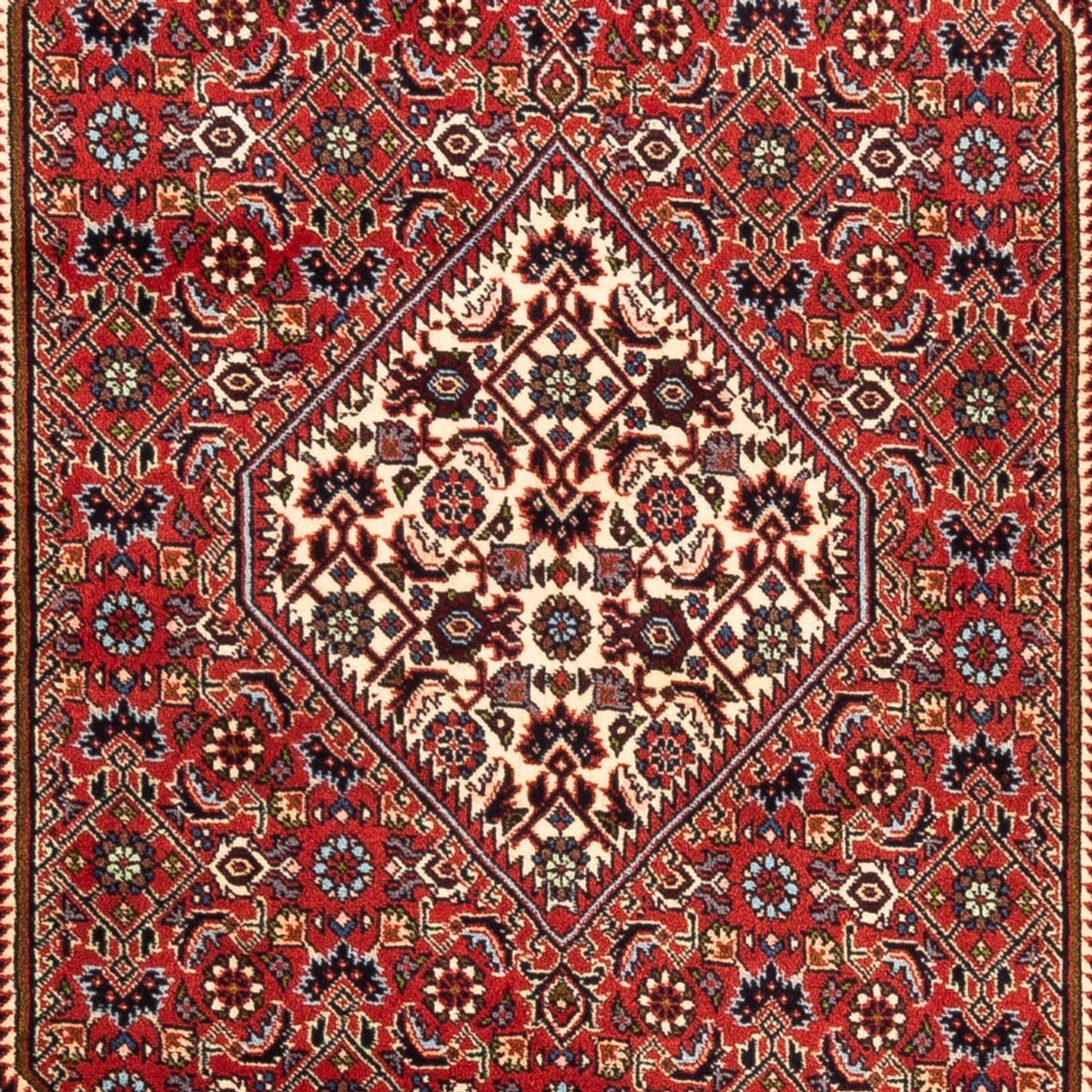 Alfombra persa - Bidjar - 179 x 110 cm - rojo