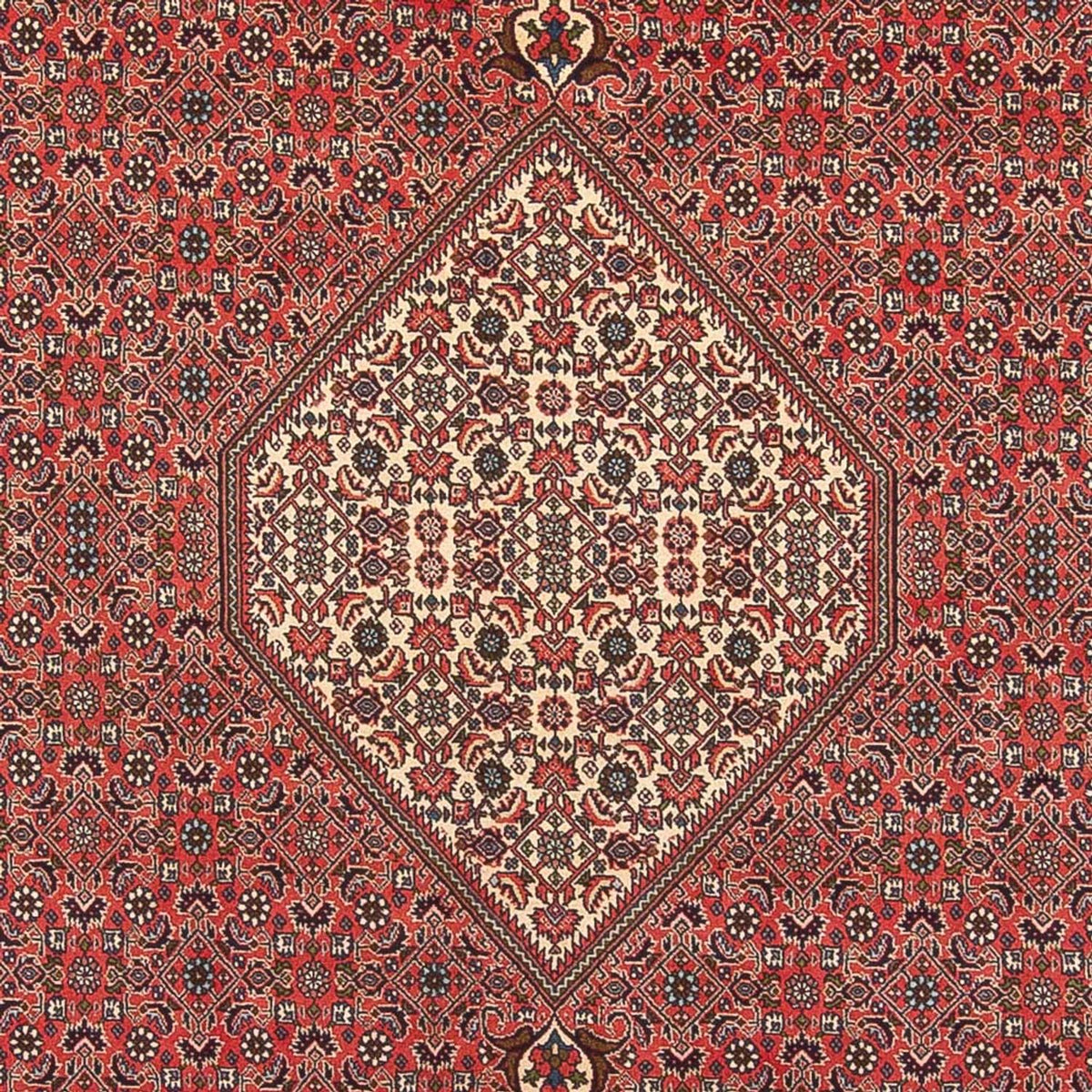 Alfombra persa - Bidjar - 395 x 300 cm - rojo claro