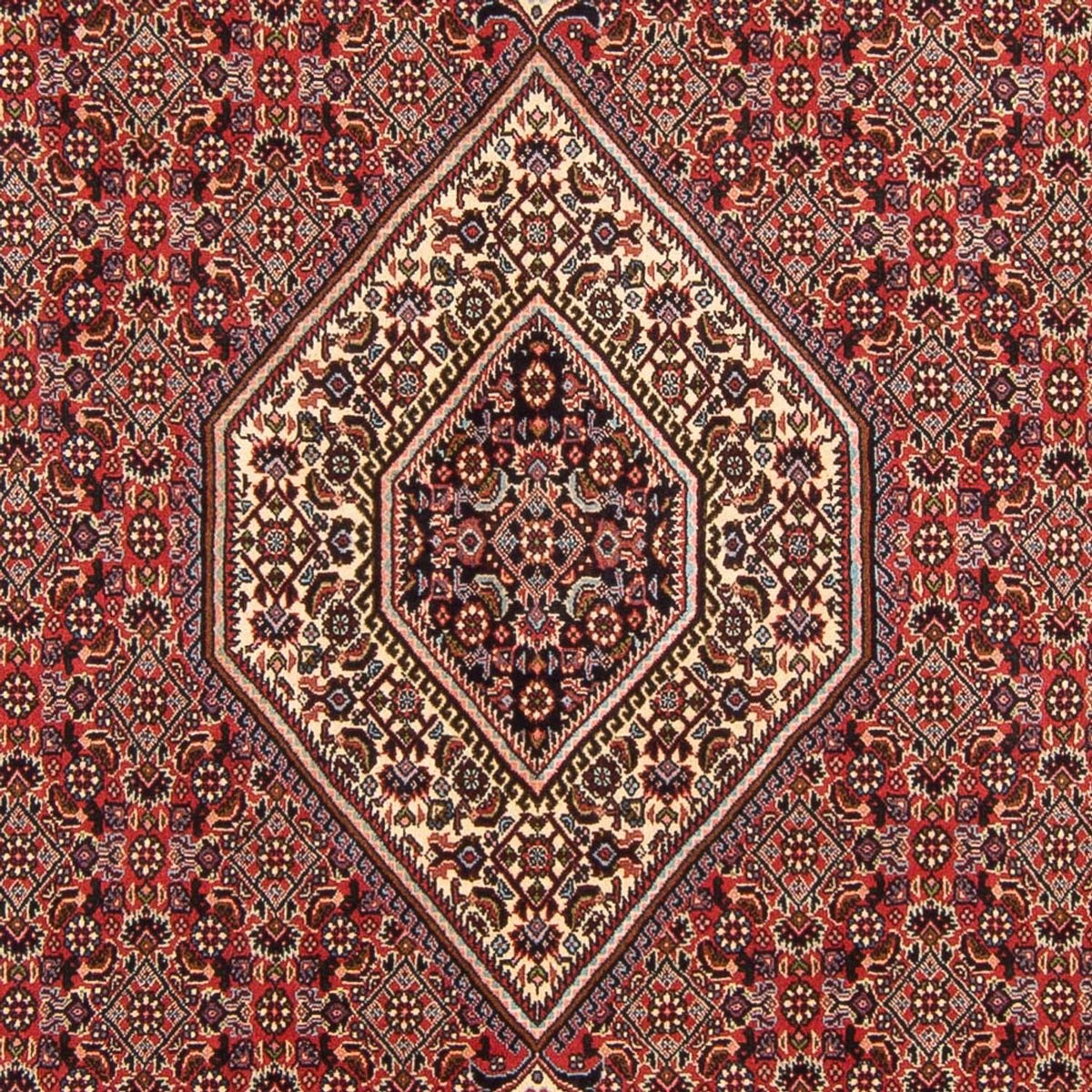 Alfombra persa - Bidjar - 294 x 200 cm - rojo