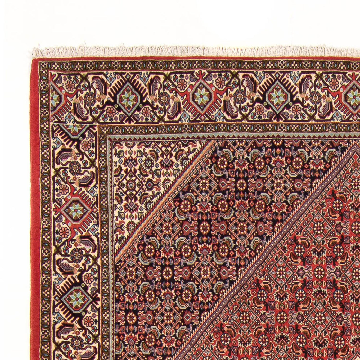 Bidjar - Bukan Alfombra 294x200cm - Alfombra persa