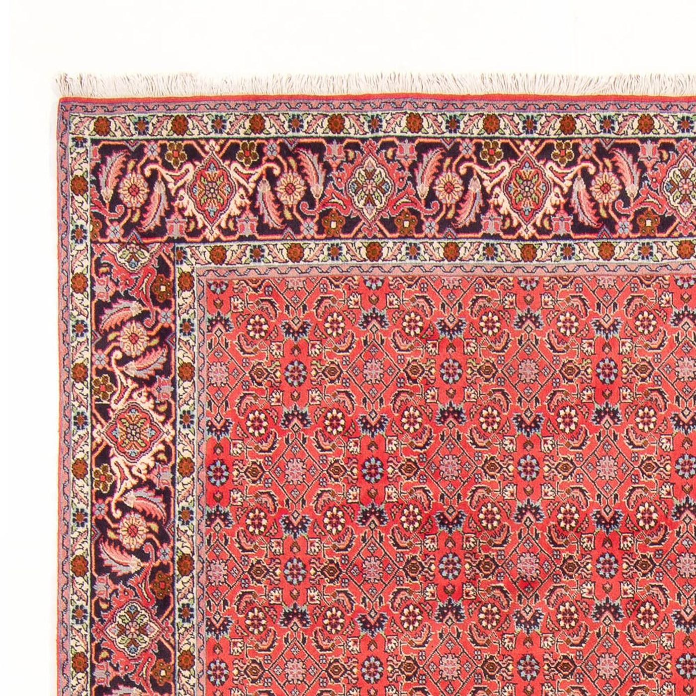 Bidjar - Bukan Alfombra 294x200cm - Alfombra persa