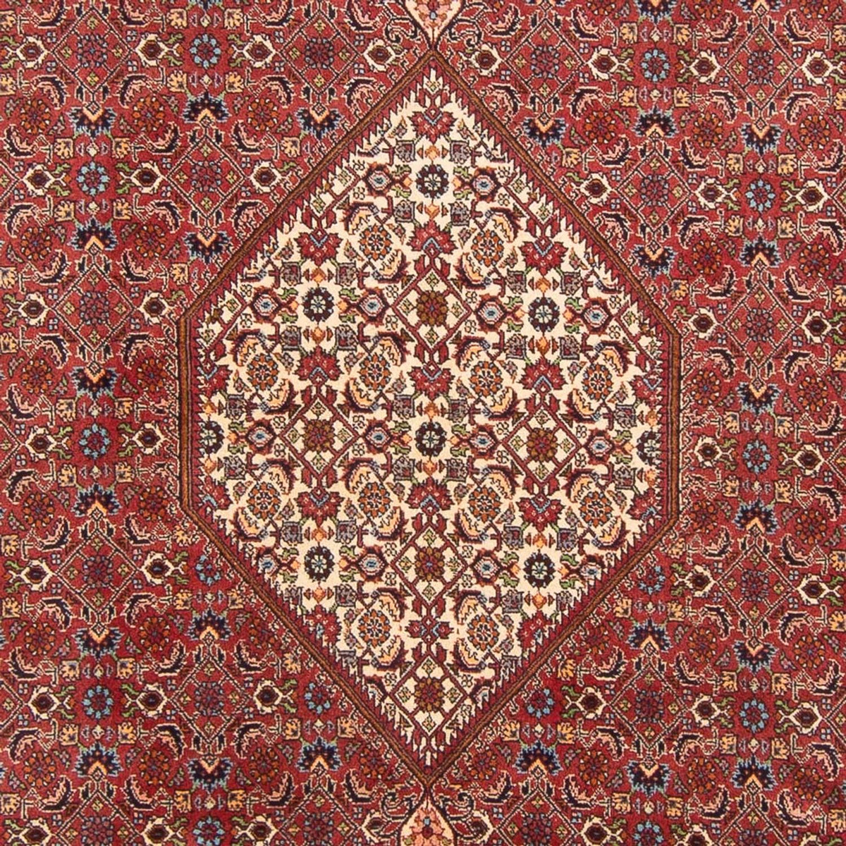 Alfombra persa - Bidjar - 303 x 200 cm - rojo