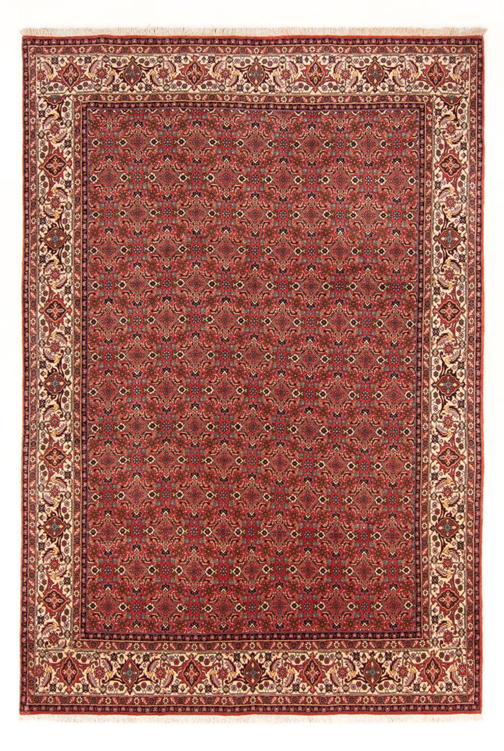 Alfombra persa - Bidjar - 289 x 195 cm - rojo