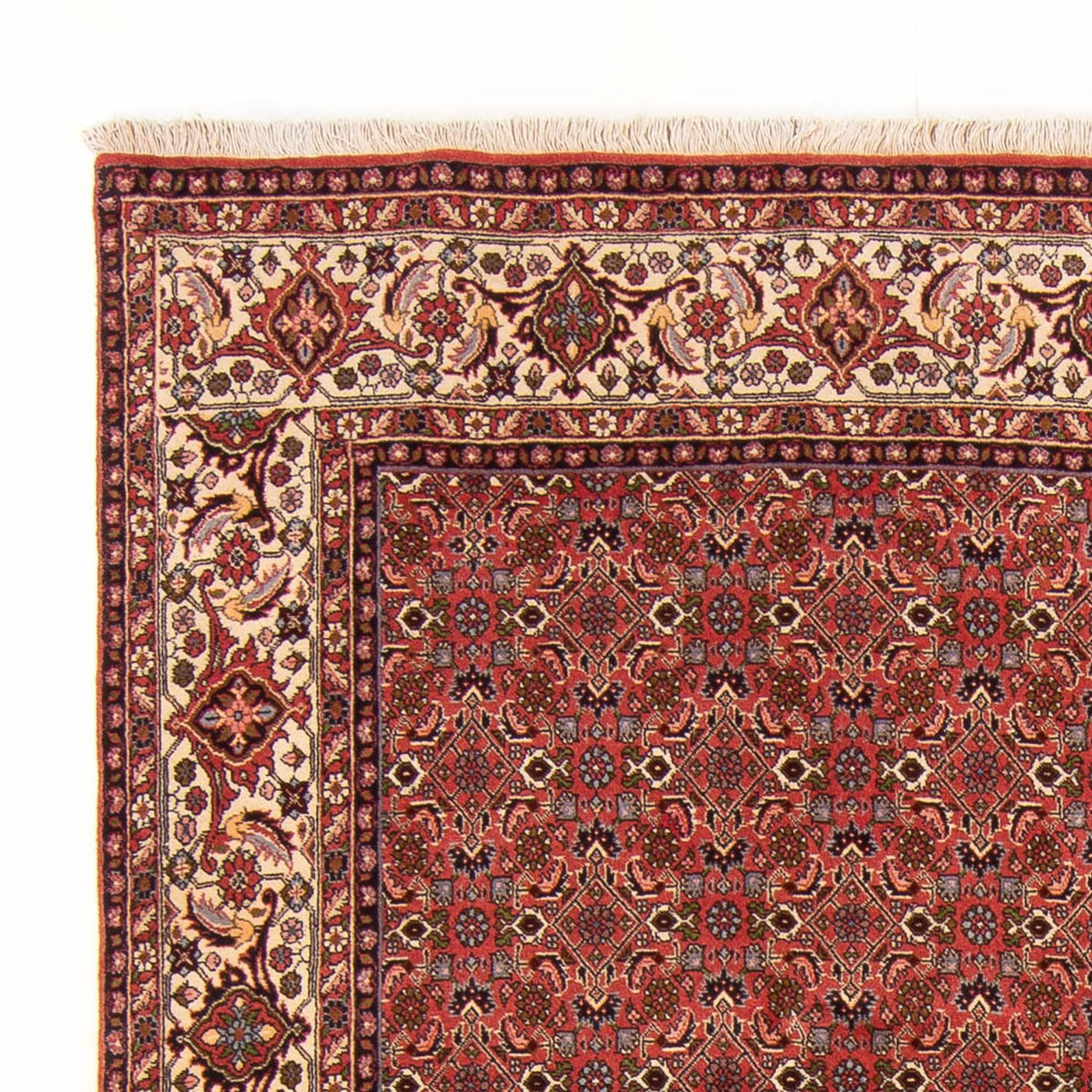 Bidjar - Bukan Alfombra 289x195cm - Alfombra persa