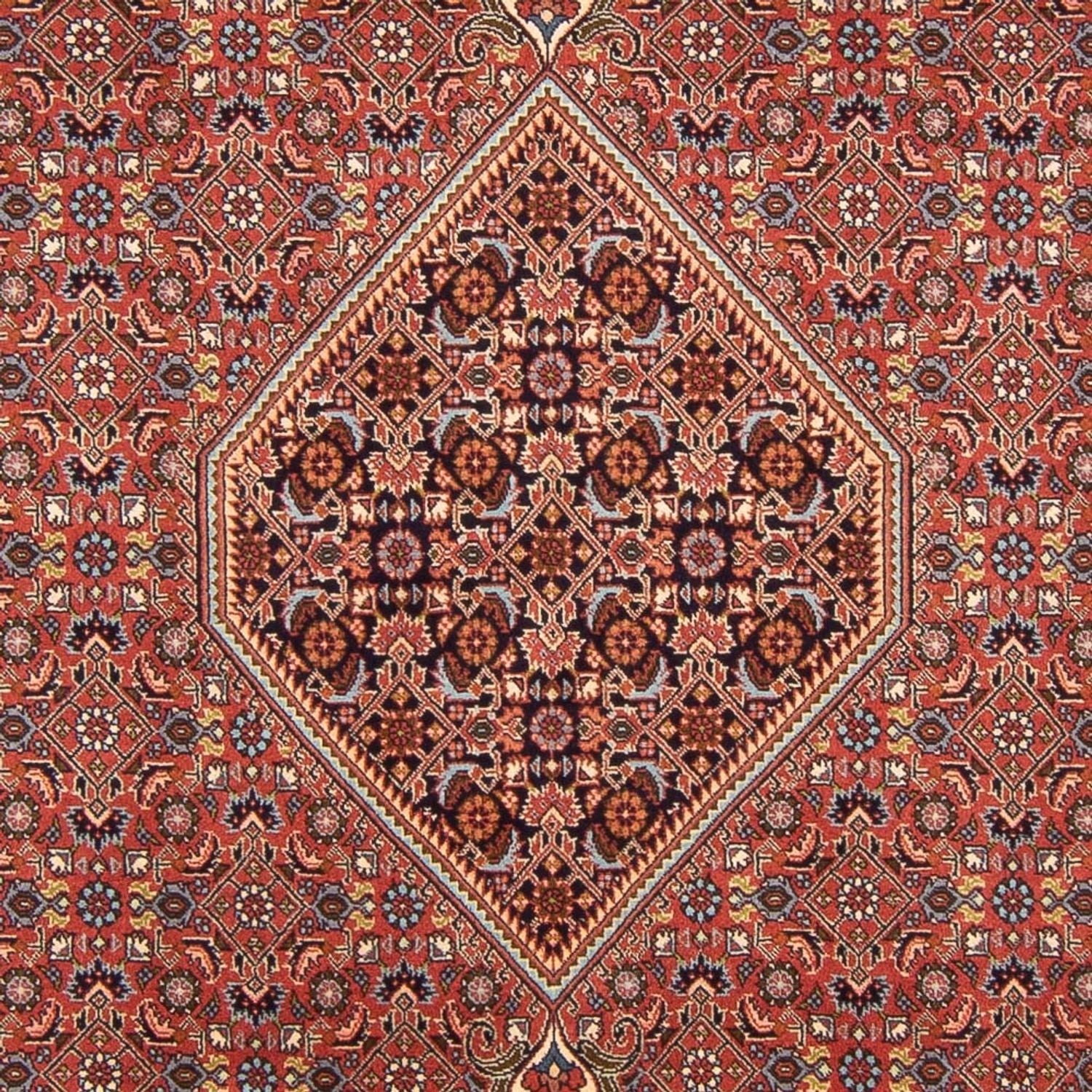 Alfombra persa - Bidjar - 296 x 197 cm - rojo