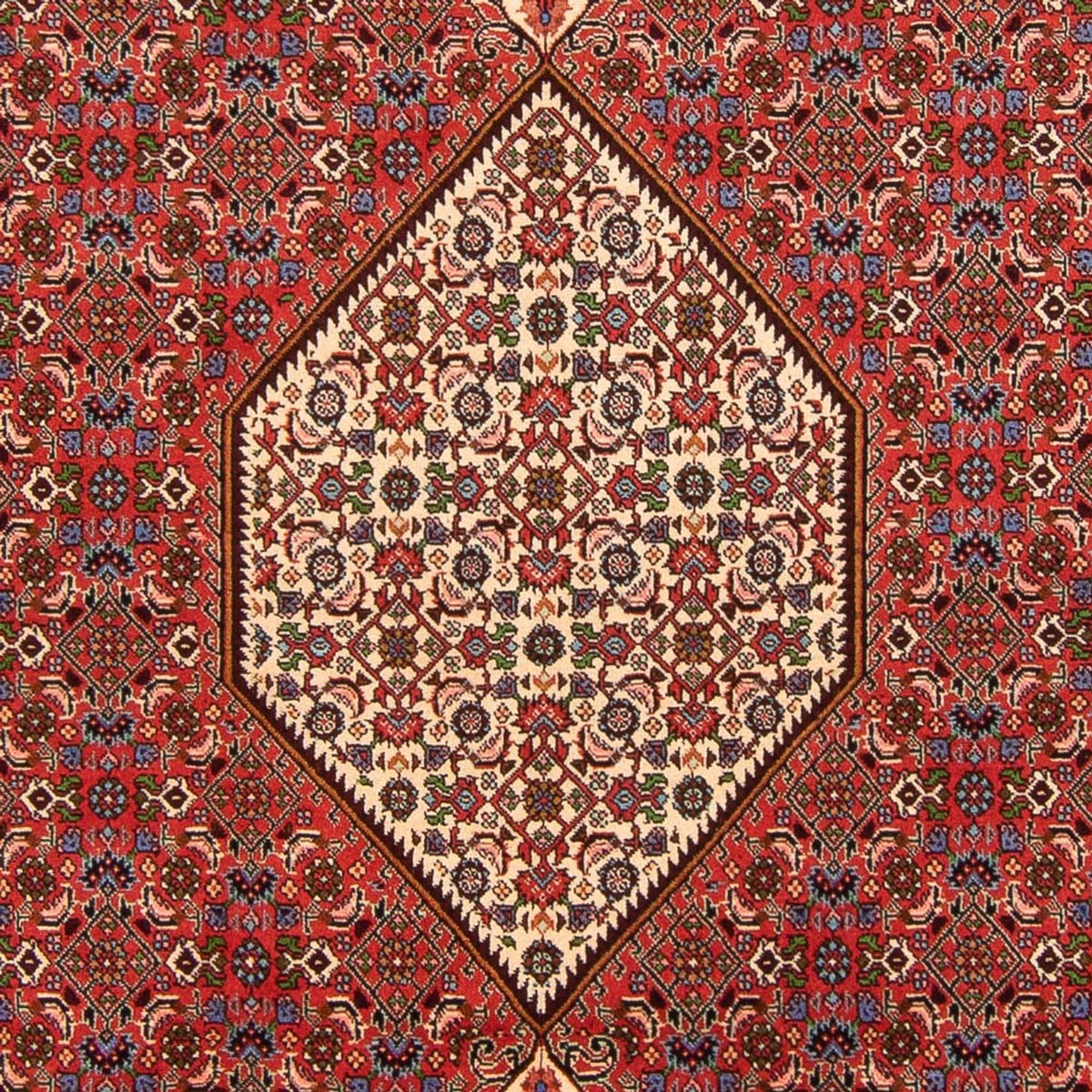 Alfombra persa - Bidjar - 300 x 200 cm - rojo