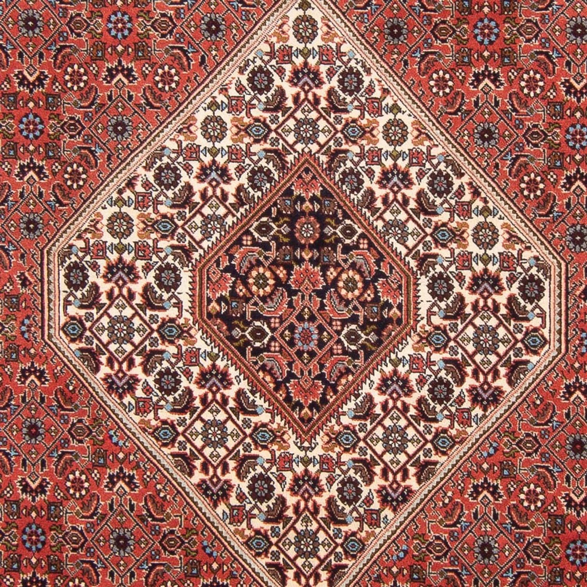 Alfombra persa - Bidjar - 288 x 200 cm - rojo