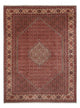 Bidjar - Bukan Alfombra 340x250cm - Alfombra persa
