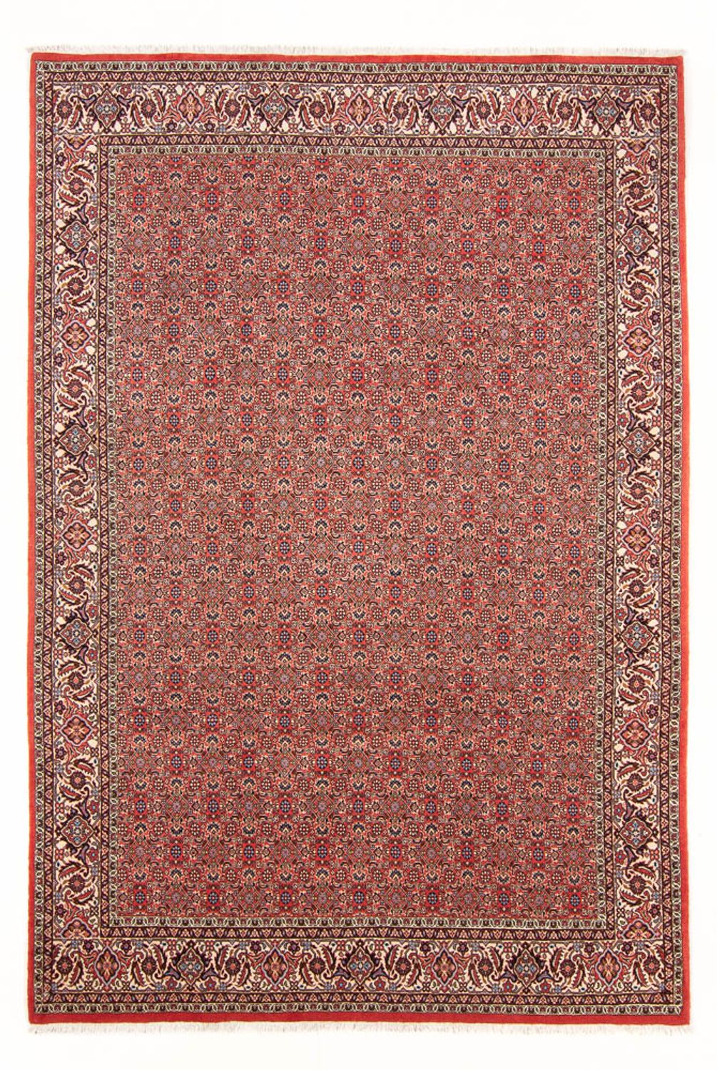 Alfombra persa - Bidjar - 298 x 196 cm - rojo