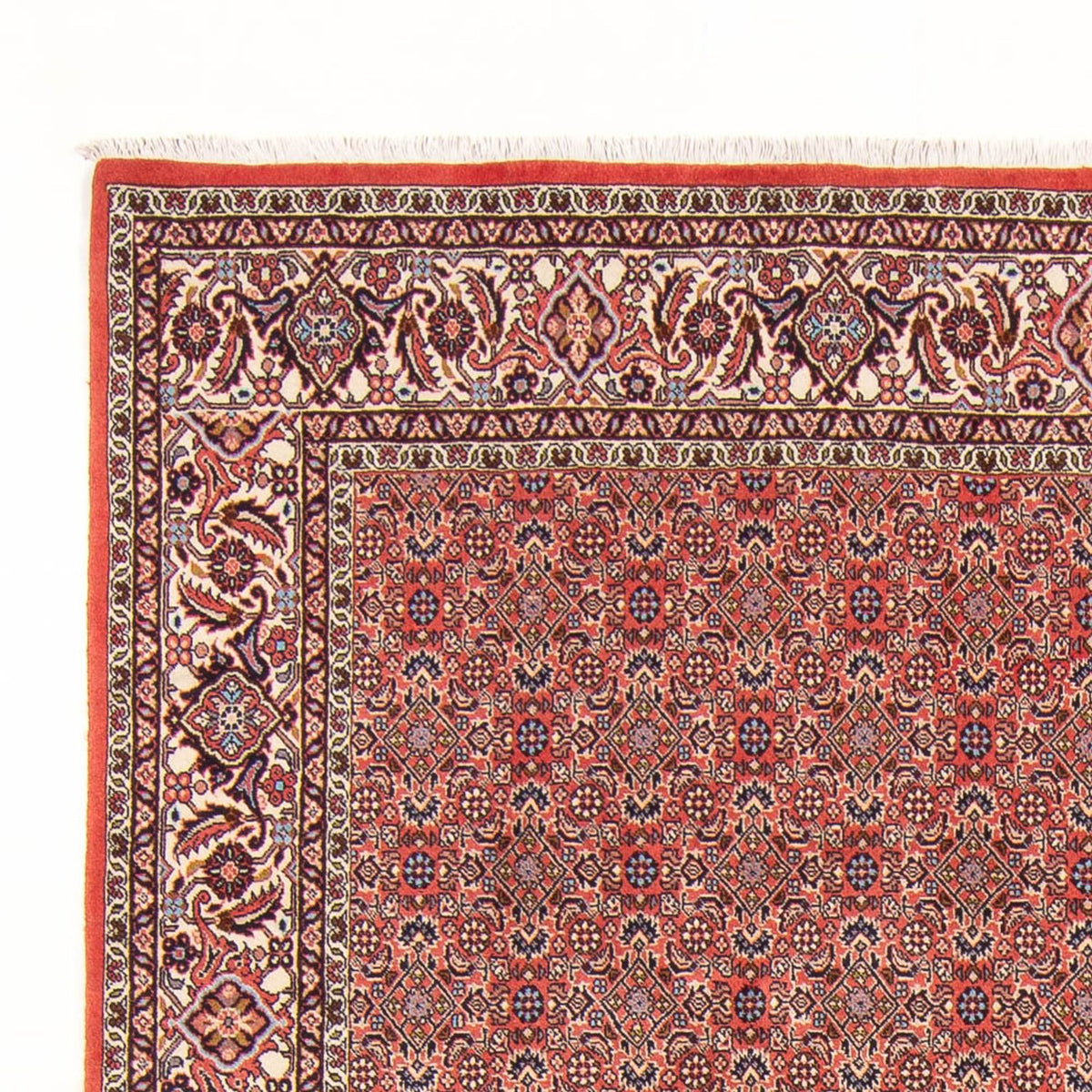 Alfombra persa - Bidjar - 298 x 196 cm - rojo