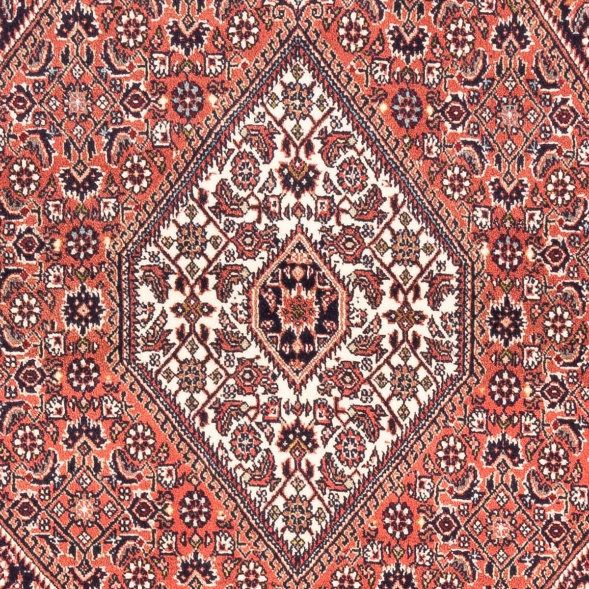 Alfombra persa - Bidjar - 170 x 107 cm - rojo
