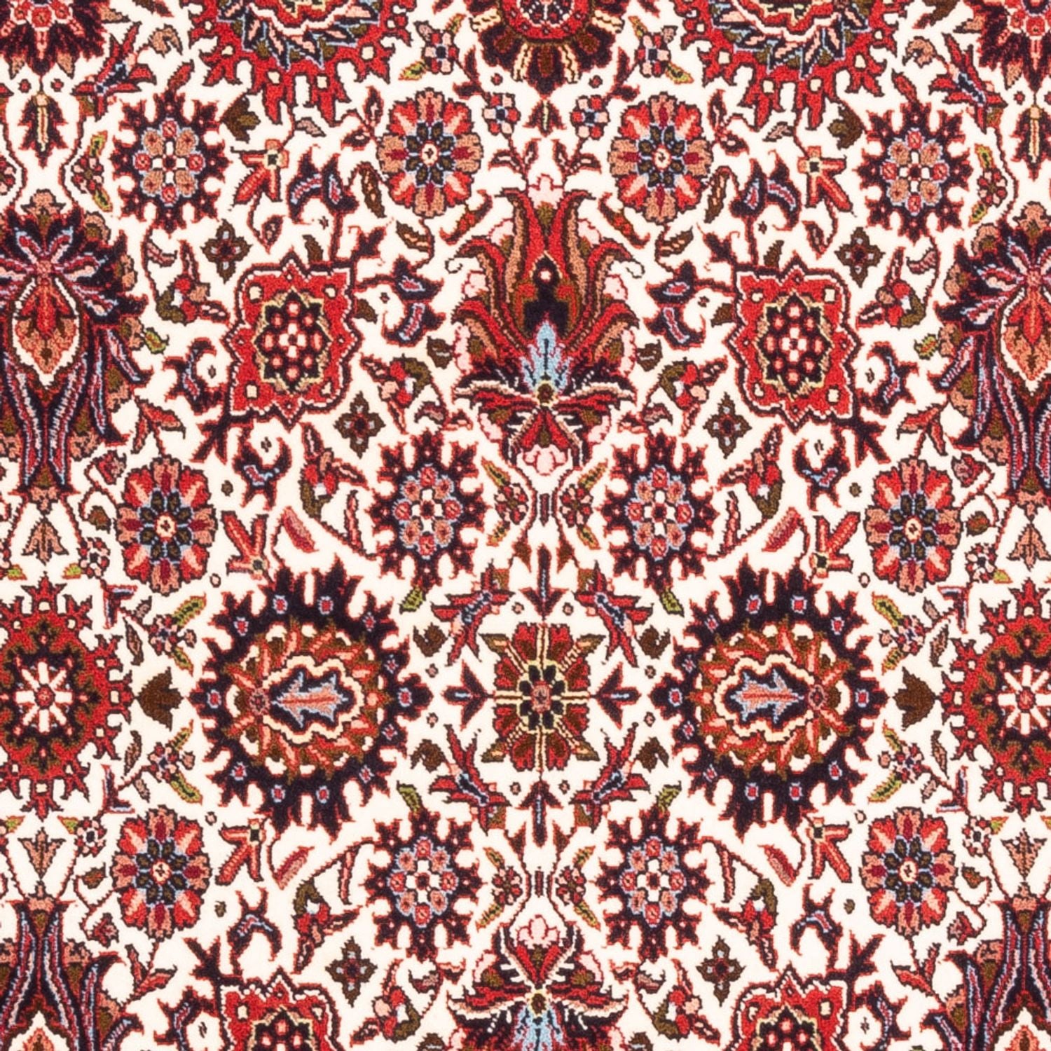 Alfombra persa - Bidjar - 184 x 110 cm - crema