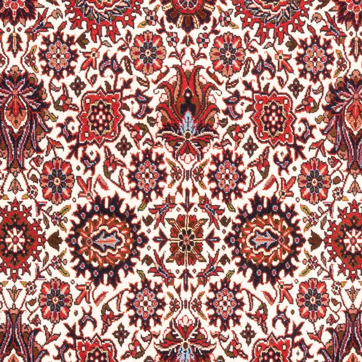 Alfombra persa - Bidjar - 184 x 110 cm - crema