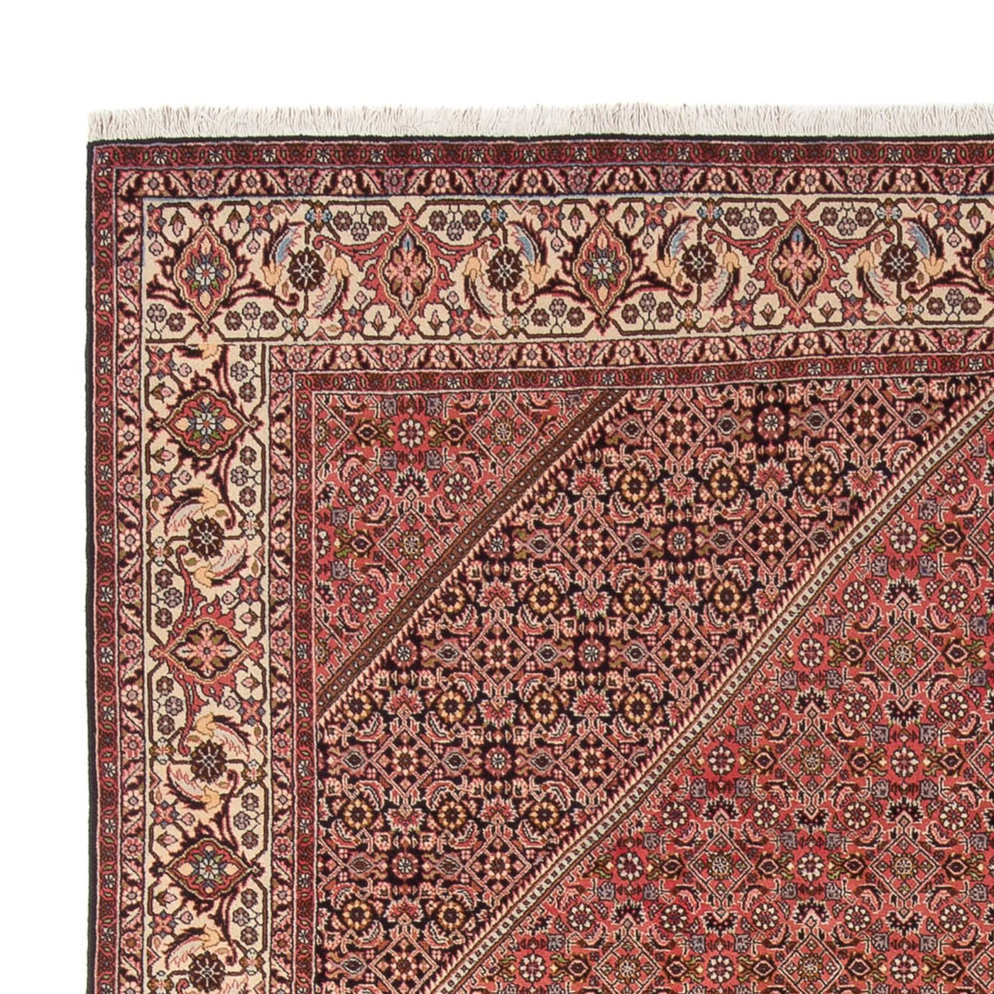 Bidjar - Bukan Alfombra 342x250cm - Alfombra persa