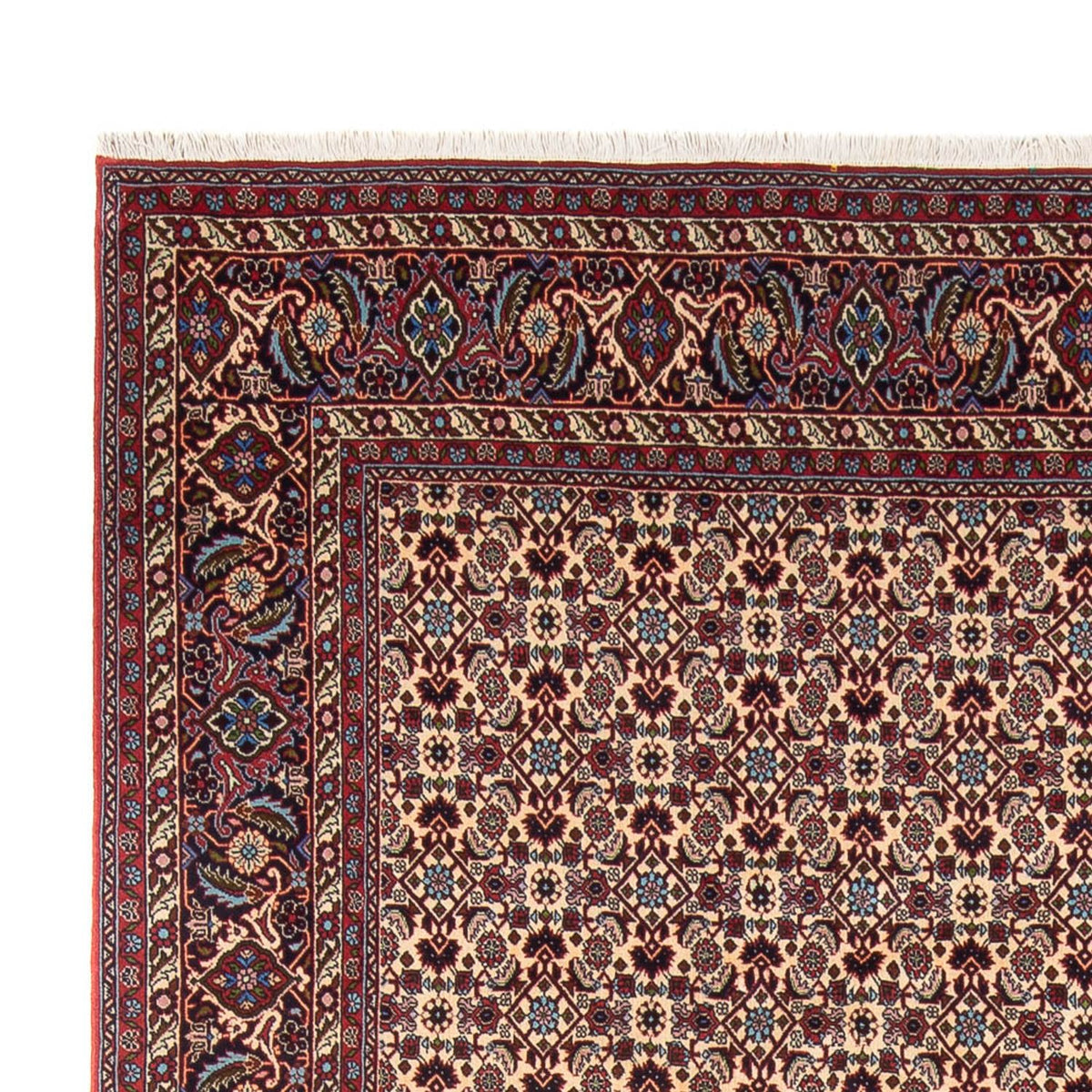 Bidjar - Bukan Alfombra 245x344cm - Alfombra persa - crema