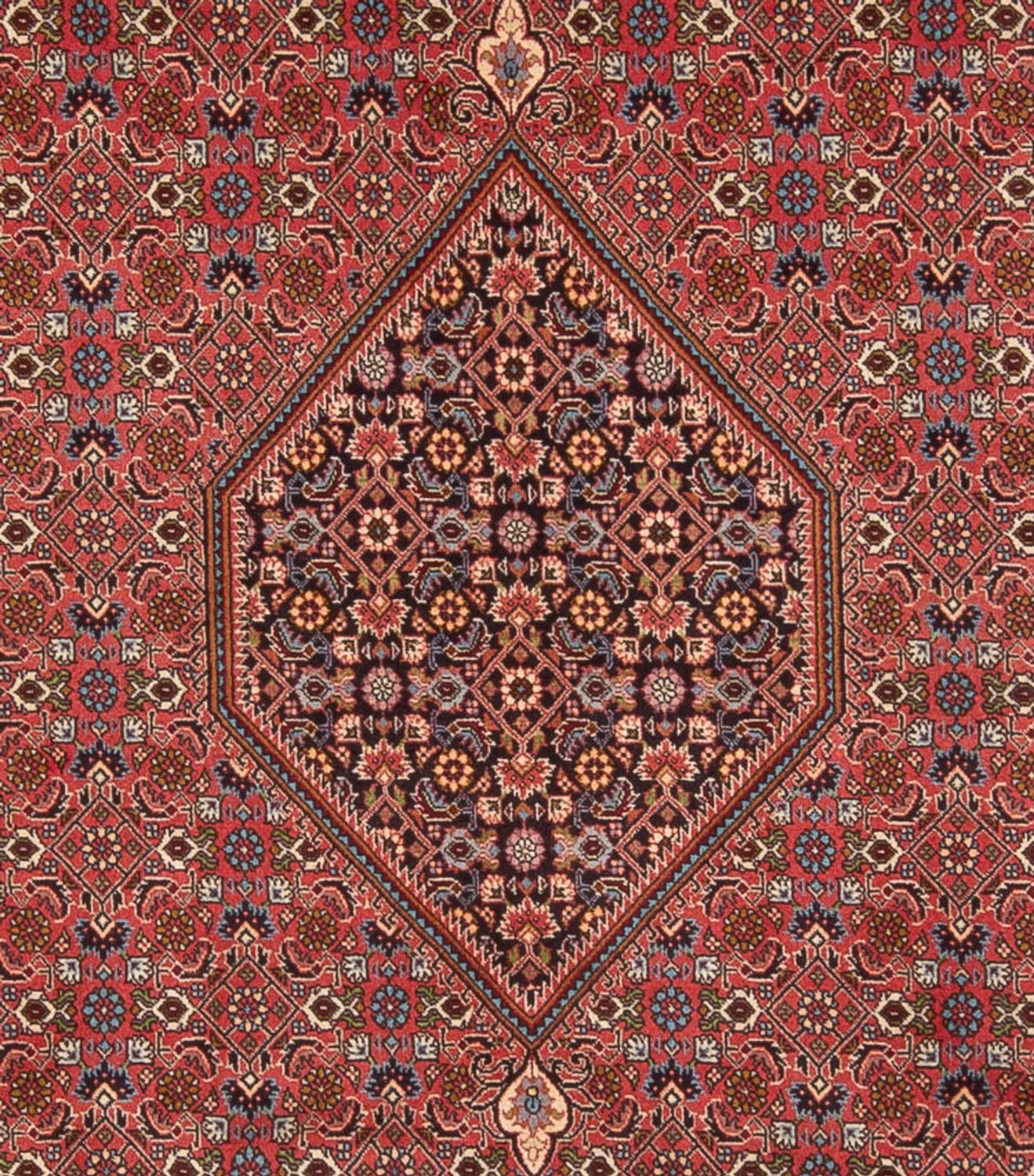 Alfombra persa - Bidjar - 348 x 250 cm - rojo