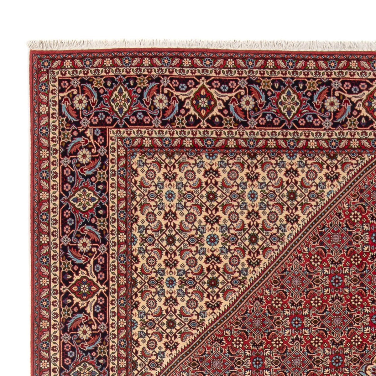 Bidjar - Bukan Alfombra 246x341cm - Alfombra persa