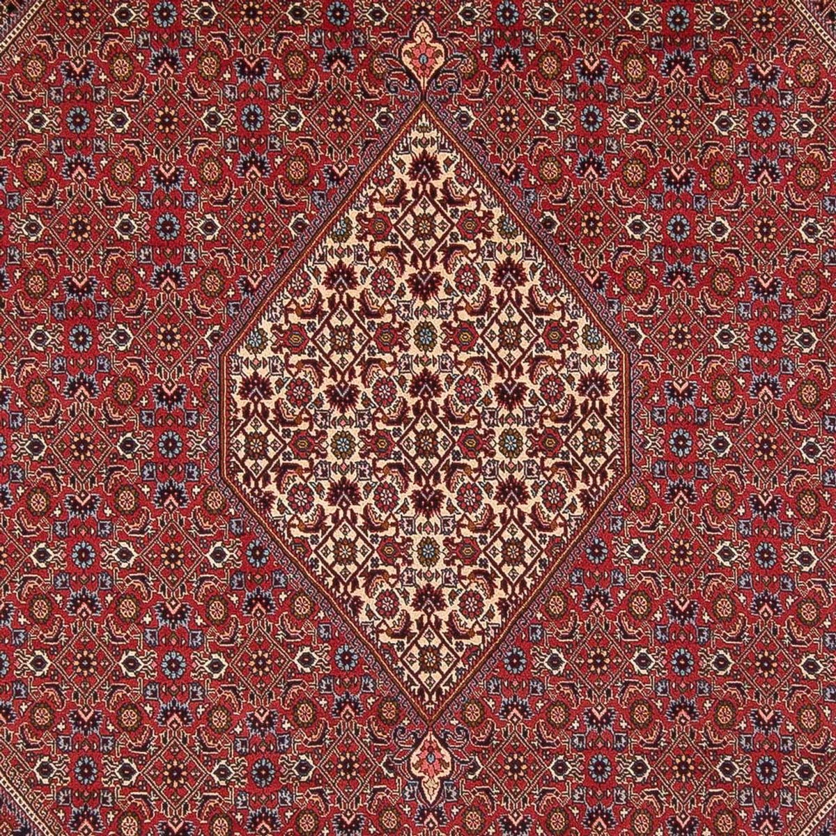 Alfombra persa - Bidjar - 342 x 249 cm - rojo