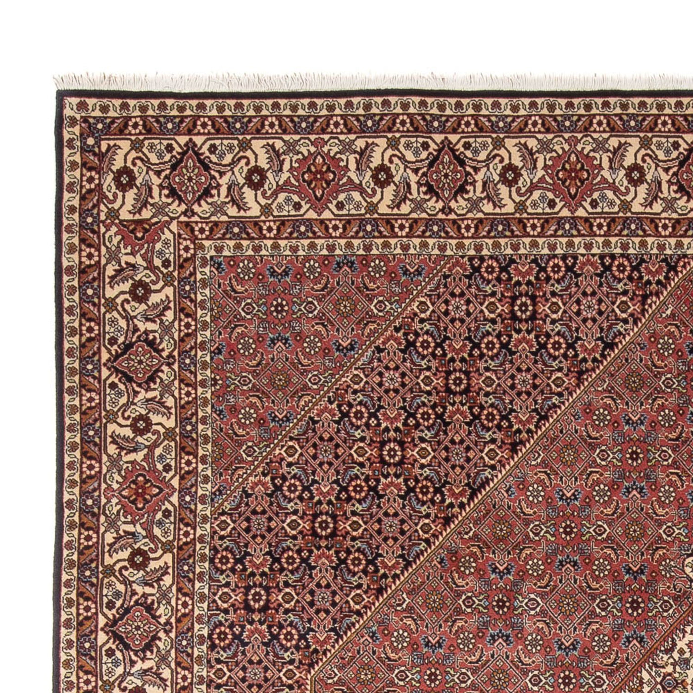 Bidjar - Bukan Alfombra 299x244cm - Alfombra persa
