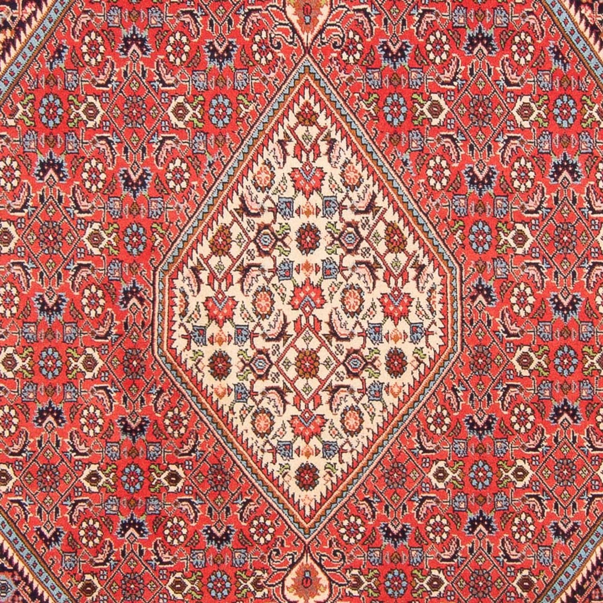 Alfombra persa - Bidjar - 267 x 200 cm - rojo