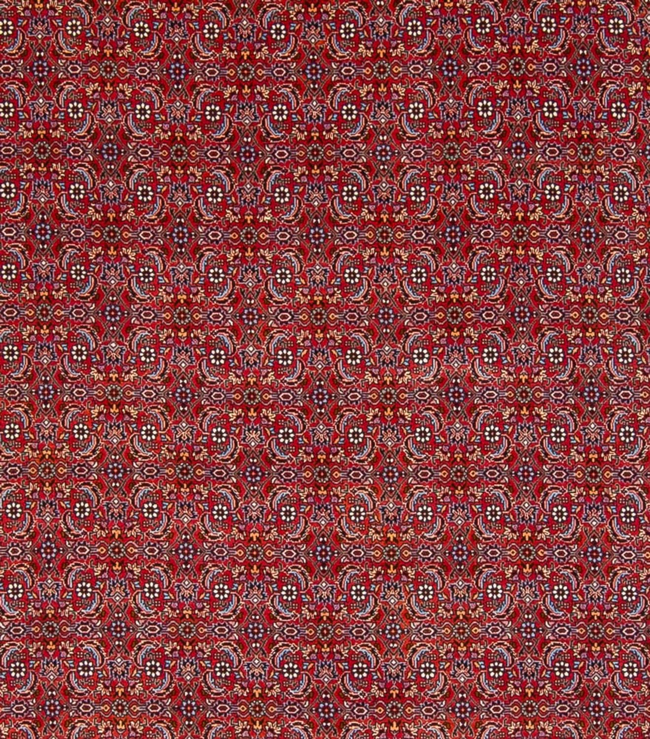 Alfombra persa - Bidjar - 347 x 254 cm - rojo