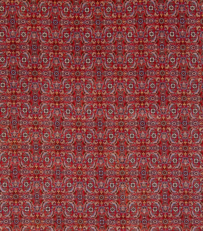 Alfombra persa - Bidjar - 347 x 254 cm - rojo