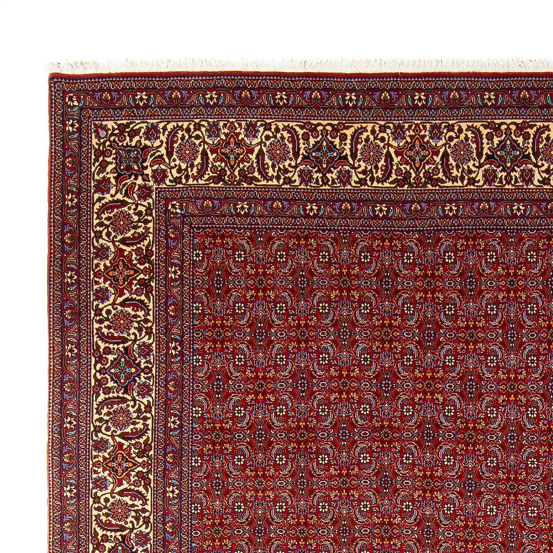Alfombra persa - Bidjar - 347 x 254 cm - rojo