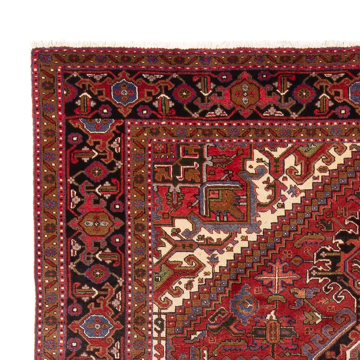 Heriz Alfombra 340x243cm - Alfombra persa