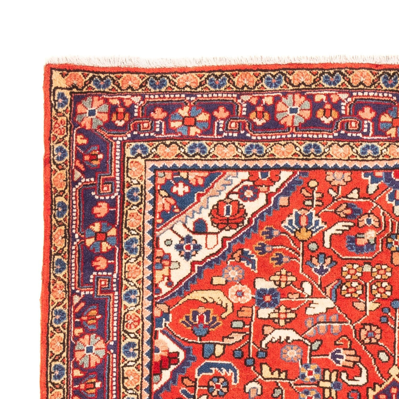 Jozan Alfombra 160x108cm - Alfombra persa