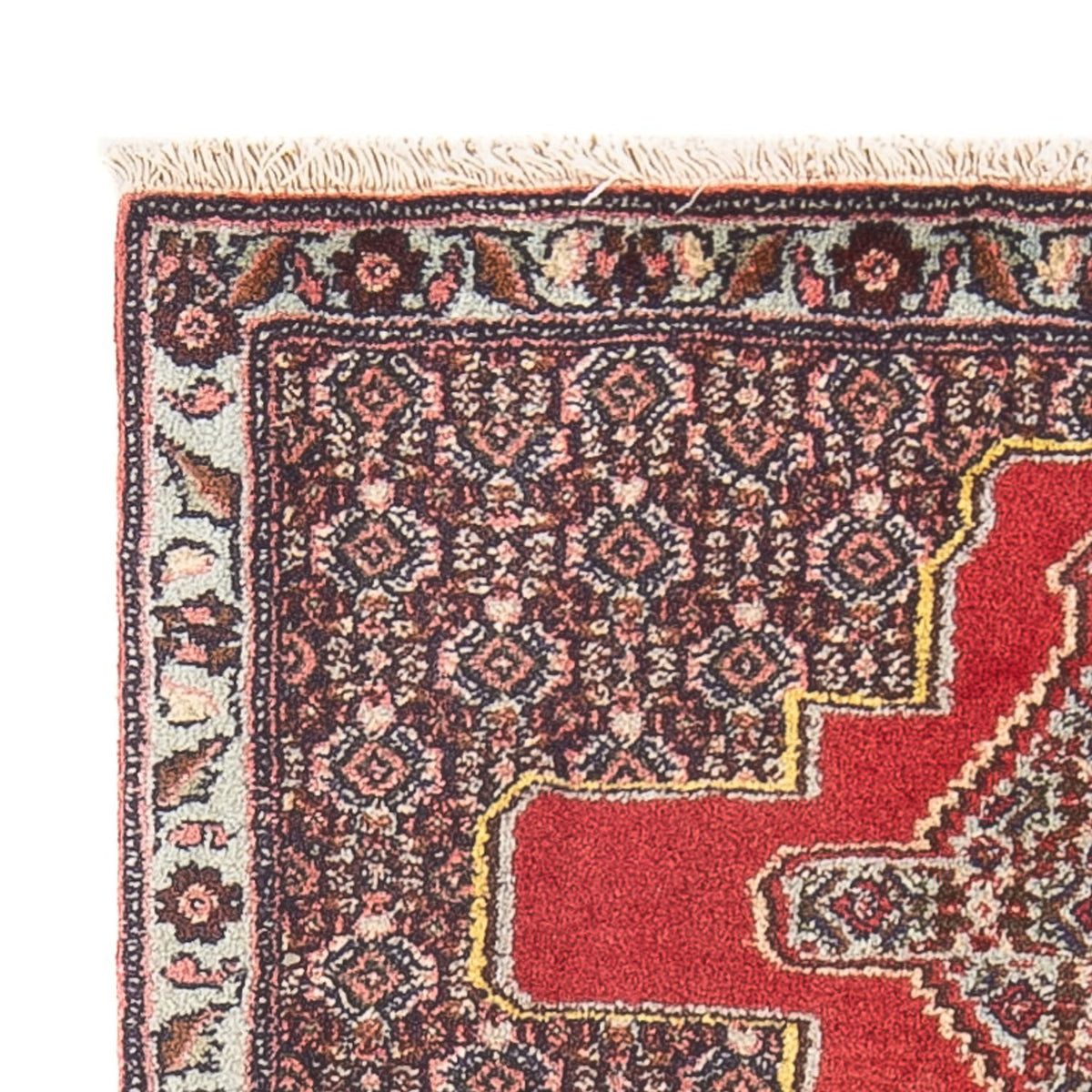 Senneh Alfombra 73x103cm - Alfombra persa