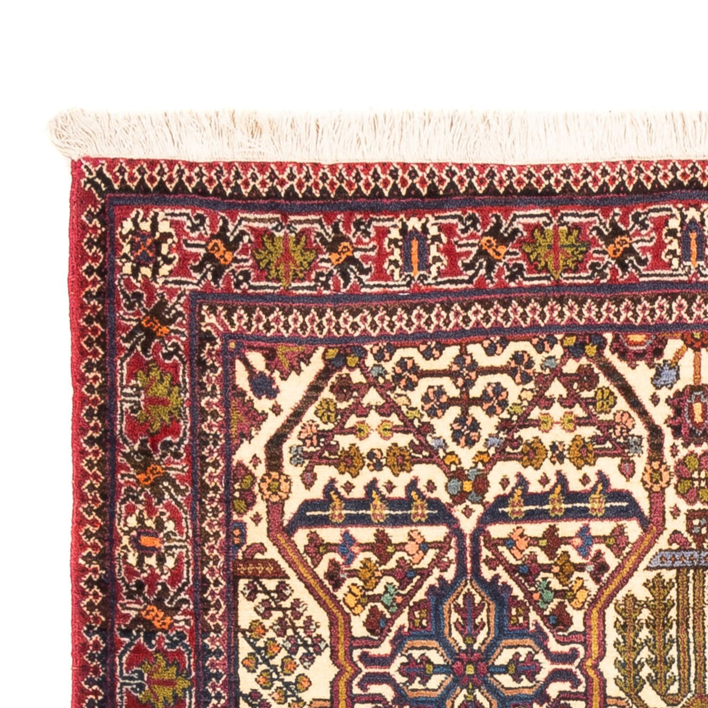 Ardabil Alfombra 160x105cm - Alfombra persa