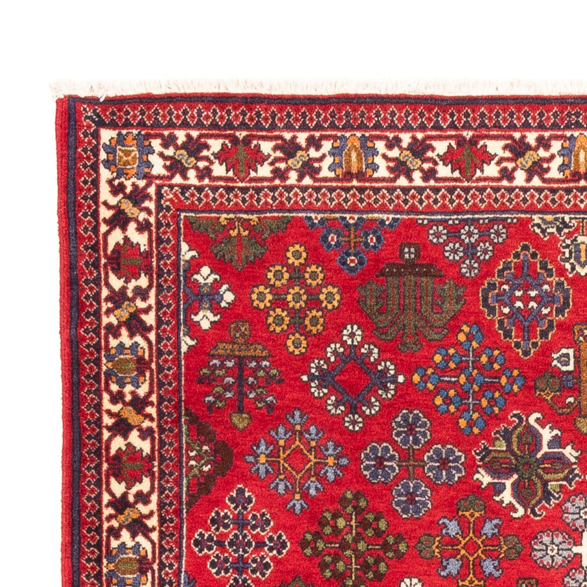 Meymeh Alfombra 110x168cm - Alfombra persa