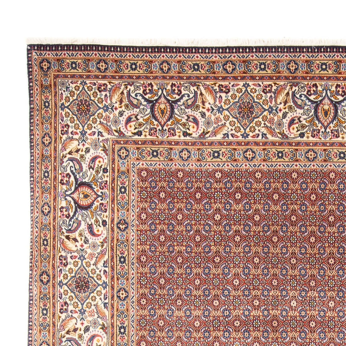 Moud Alfombra 243x294cm - Alfombra persa