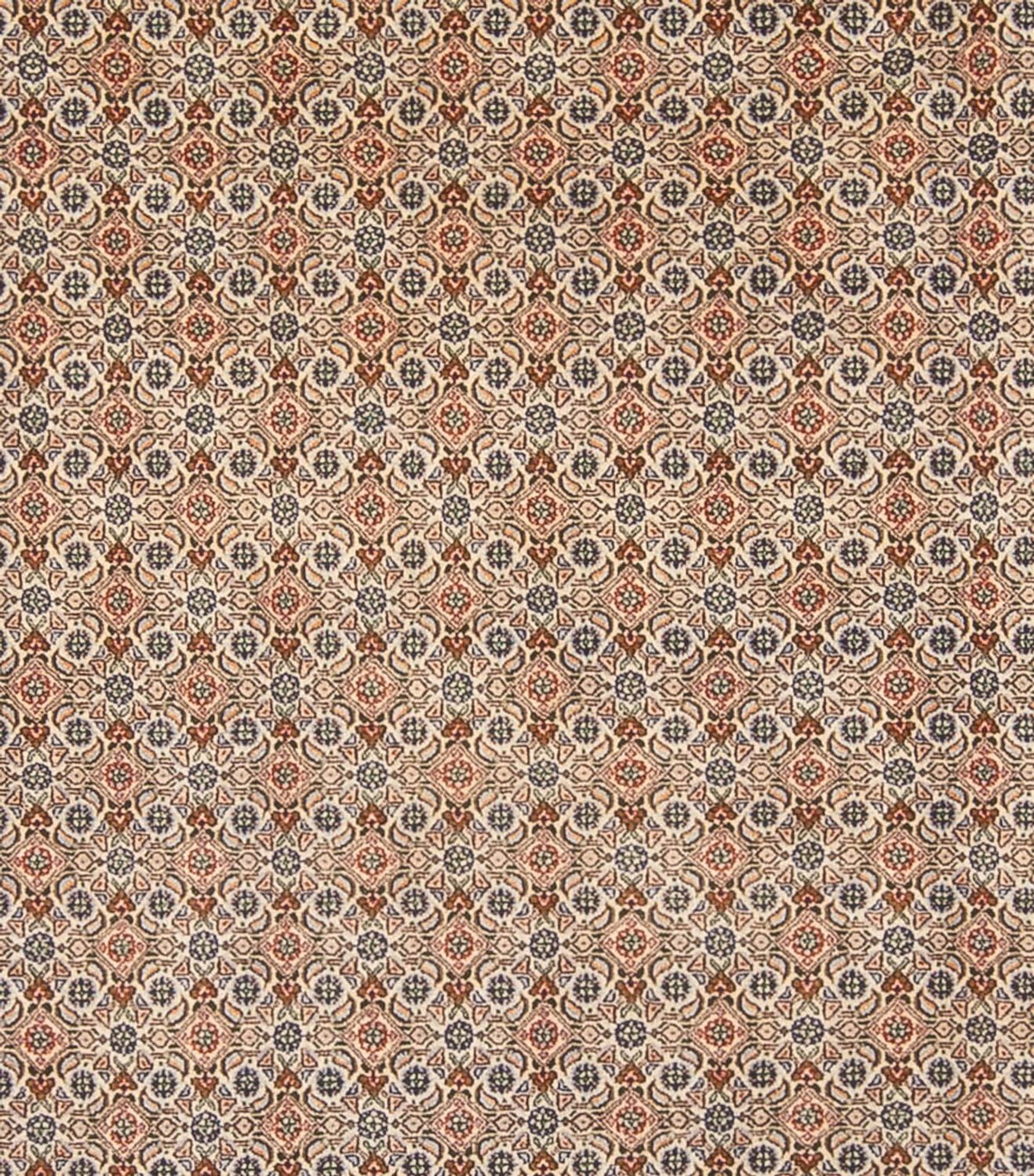 Alfombra persa - Clásica - 343 x 247 cm - beige oscuro