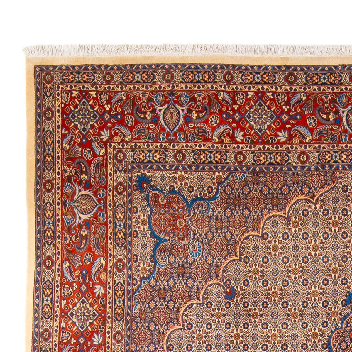 Moud Alfombra 252x360cm - Alfombra persa