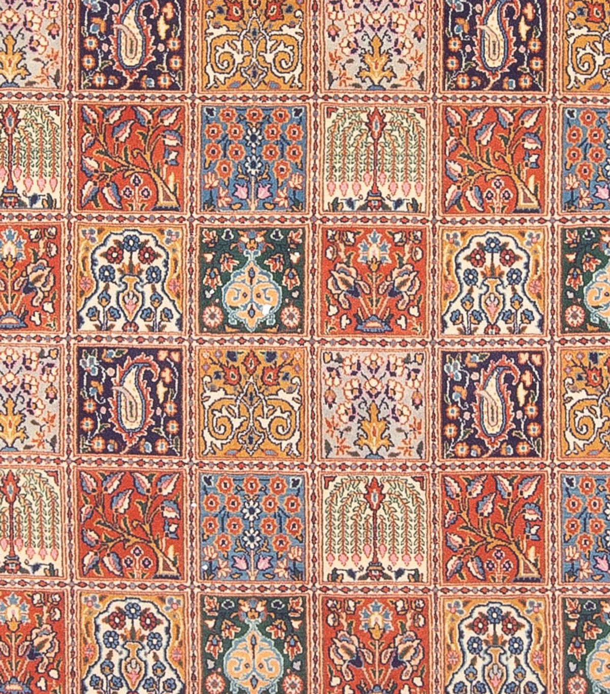 Alfombra persa - Clásica - 262 x 250 cm - multicolor