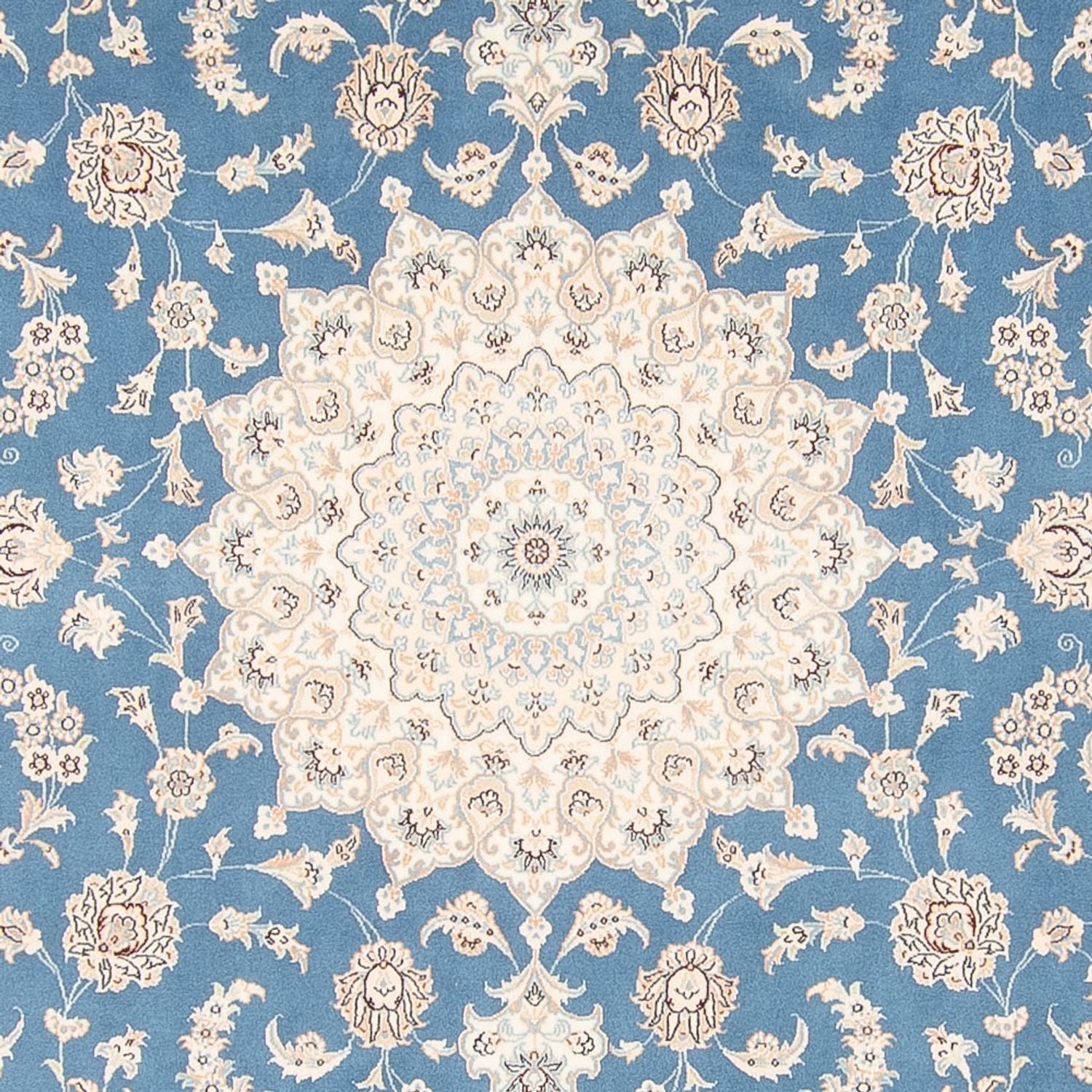 Alfombra persa - Nain cuadrado  - 252 x 248 cm - azul claro