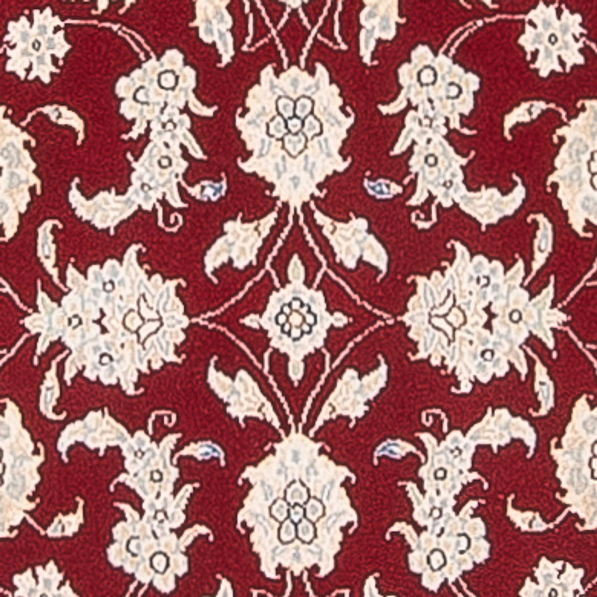 Alfombra de pasillo Alfombra Persa - Nain - Prima - 248 x 82 cm - rojo
