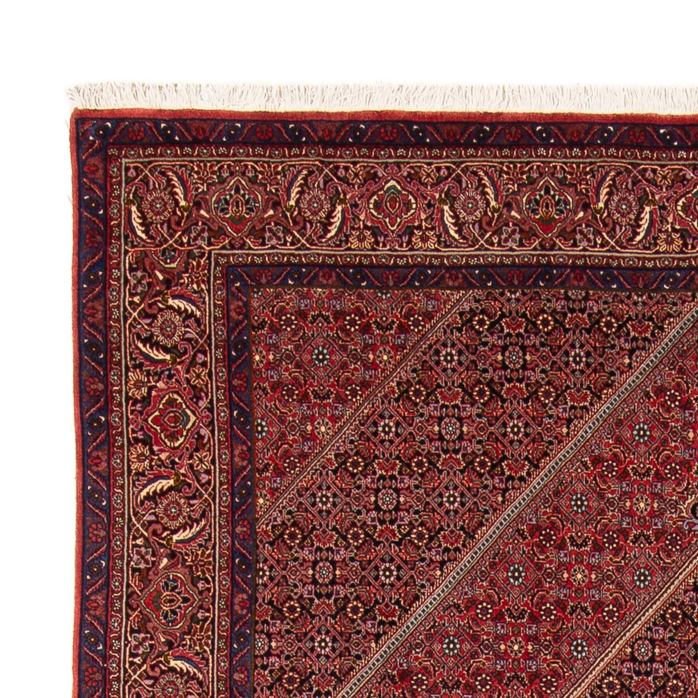 Nain Alfombra 252x199cm - Alfombra persa