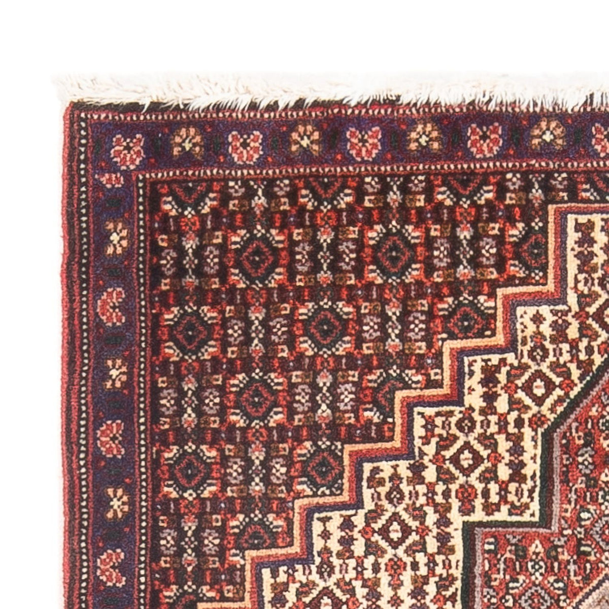 Senneh Alfombra 70x98cm - Alfombra persa