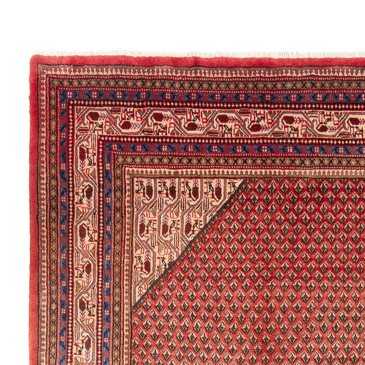 Sarouk Alfombra 258x365cm - Alfombra persa