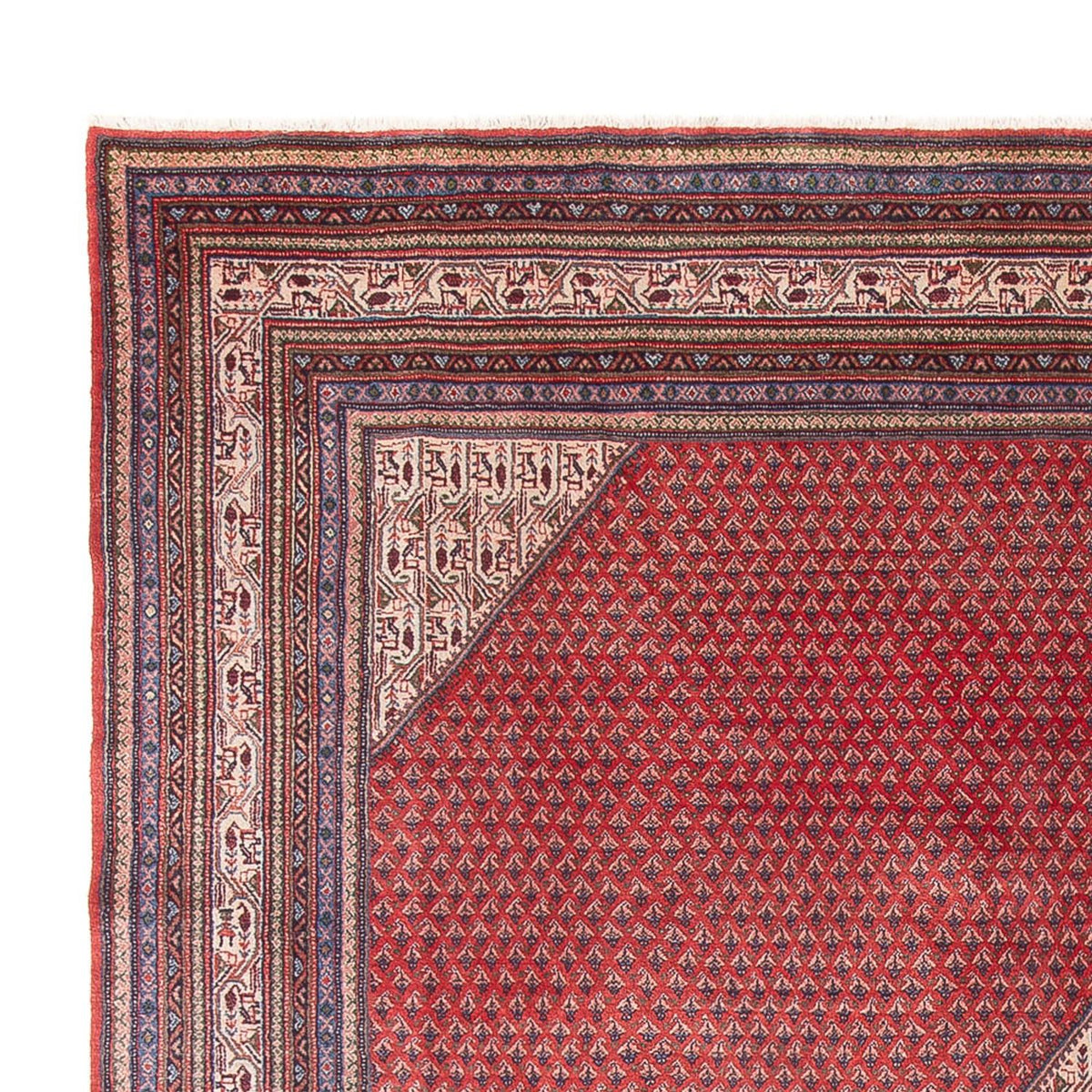 Mir Alfombra 297x380cm - Alfombra persa
