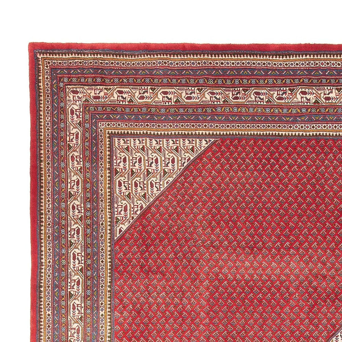 Mir Alfombra 300x393cm - Alfombra persa