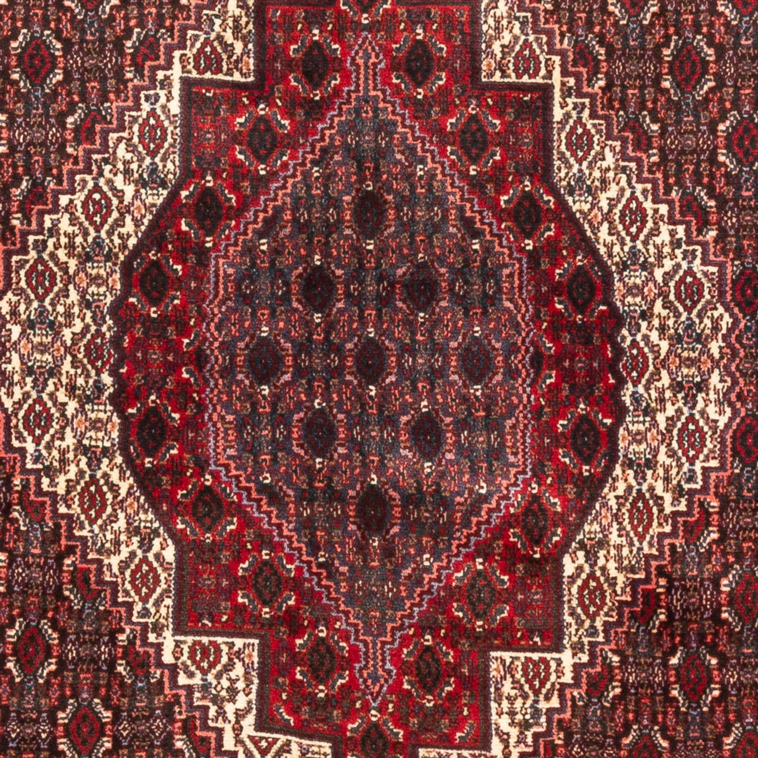Alfombra persa - Clásica - 145 x 123 cm - azul oscuro