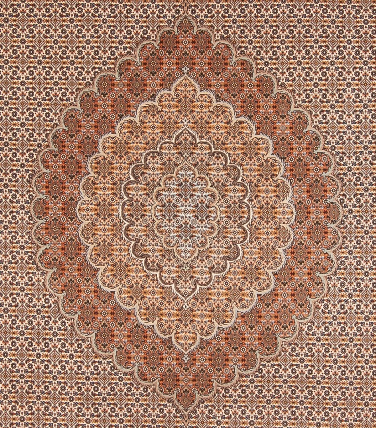 Alfombra persa - Tabriz - 349 x 254 cm - marrón claro